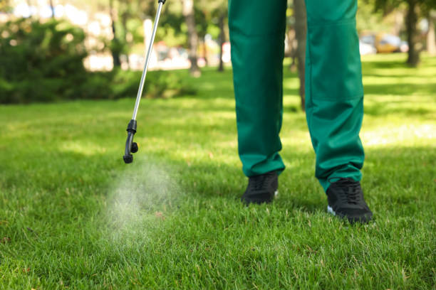 Flea Control Services in North Olmsted, OH