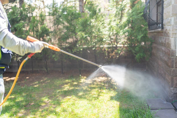 Best Affordable Pest Control Services  in North Olmsted, OH